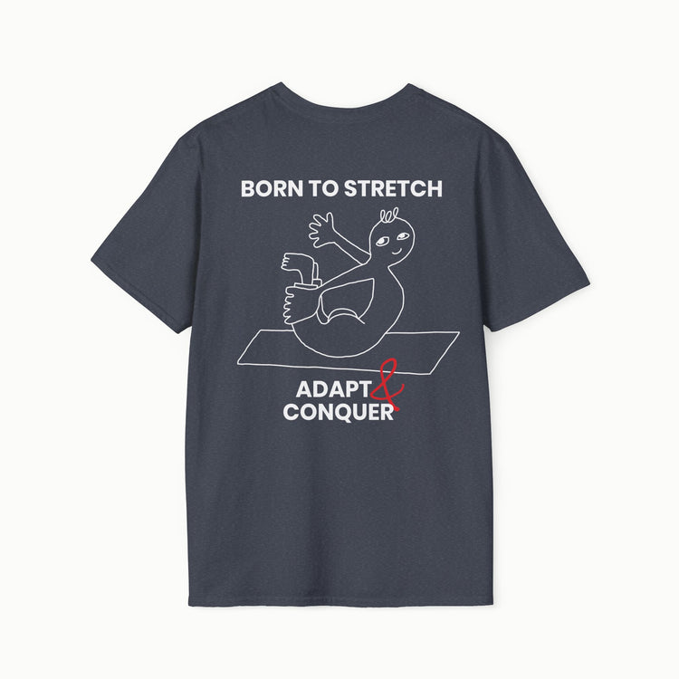 Born to stretch, adapt & conquer - II