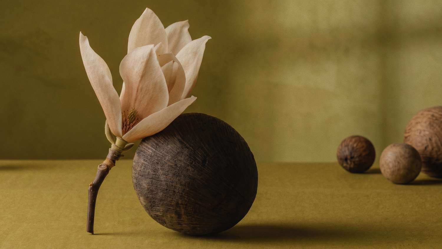 The Ecology of Growth: On Sustainable Flourishing and the Art of Expanding with Intention