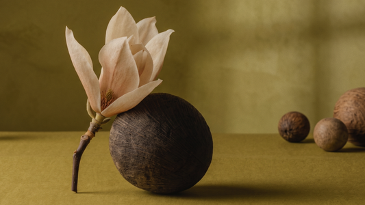The Ecology of Growth: On Sustainable Flourishing and the Art of Expanding with Intention
