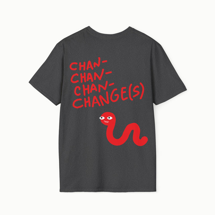 Chan-chan-chan-changes - IV