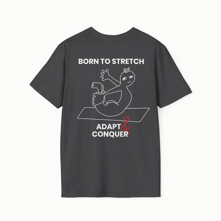 Born to stretch, adapt & conquer - II