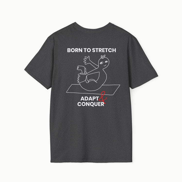 Born to stretch, adapt & conquer - II